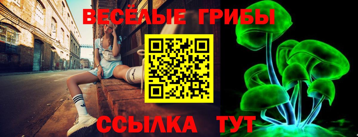 Галлюциногенные грибы Psilocybe  даркнет сайт  Советская Гавань  Вход с VPN  Псилоцибиновые грибы MAGIC MUSHROOMS 